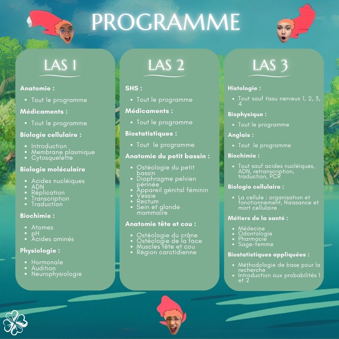 Programme examen blanc 1