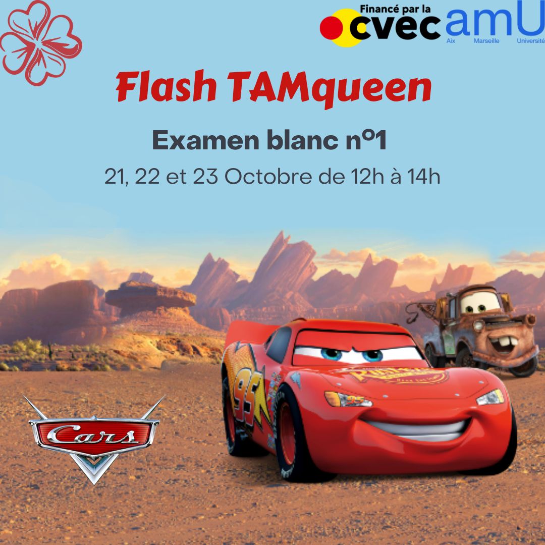 Examen blanc du TAM S1.1