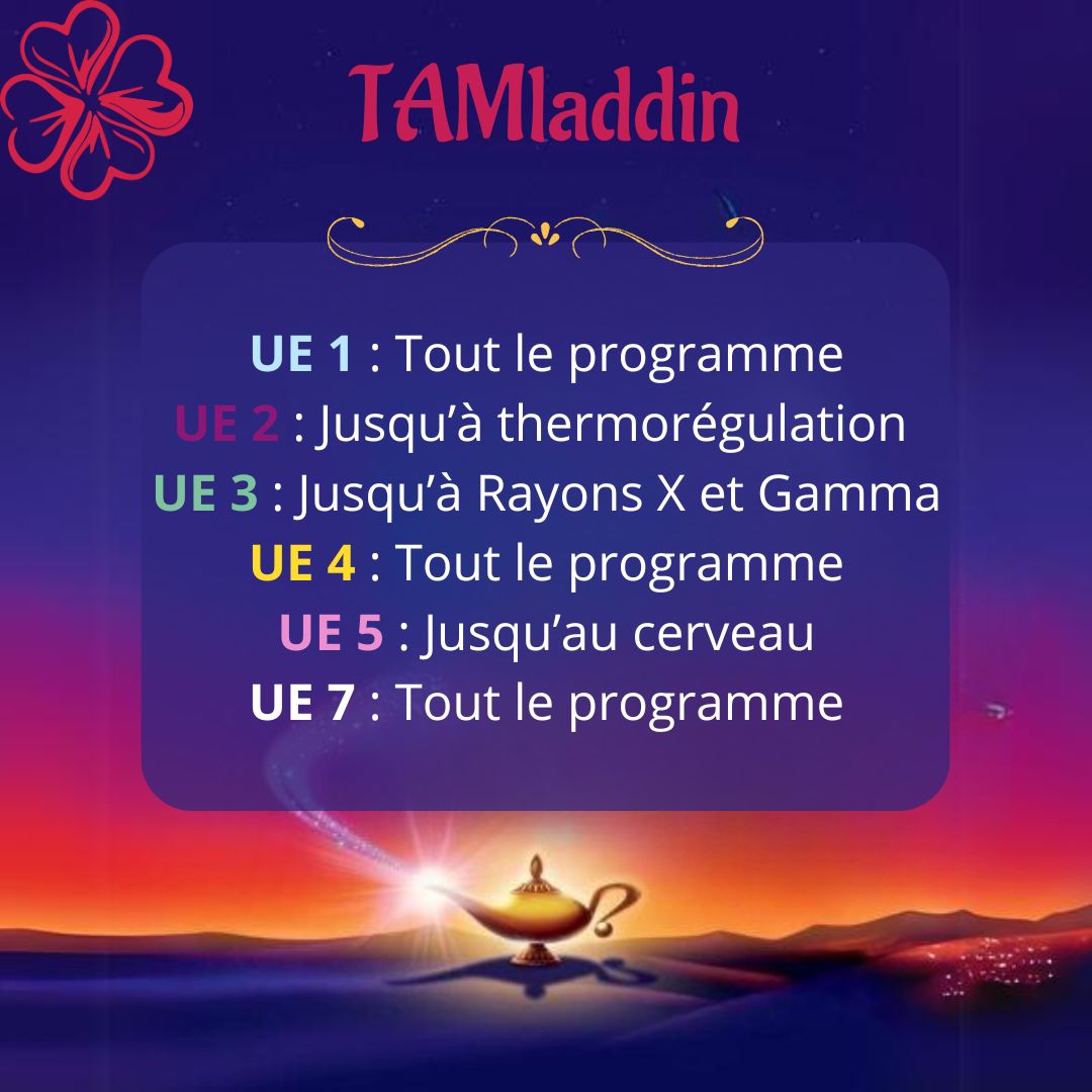 Programme examen blanc S1.2