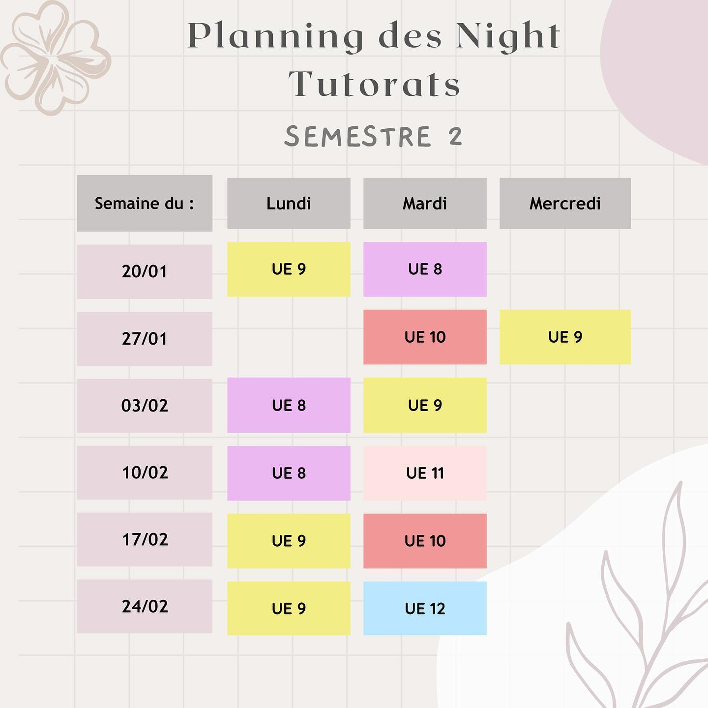 Planning des NT S2